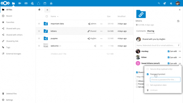Share-Links k&ouml;nnen individuell gesch&uuml;tzt werden. (Bild: Nextcloud)
